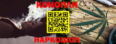 гидра Рязань