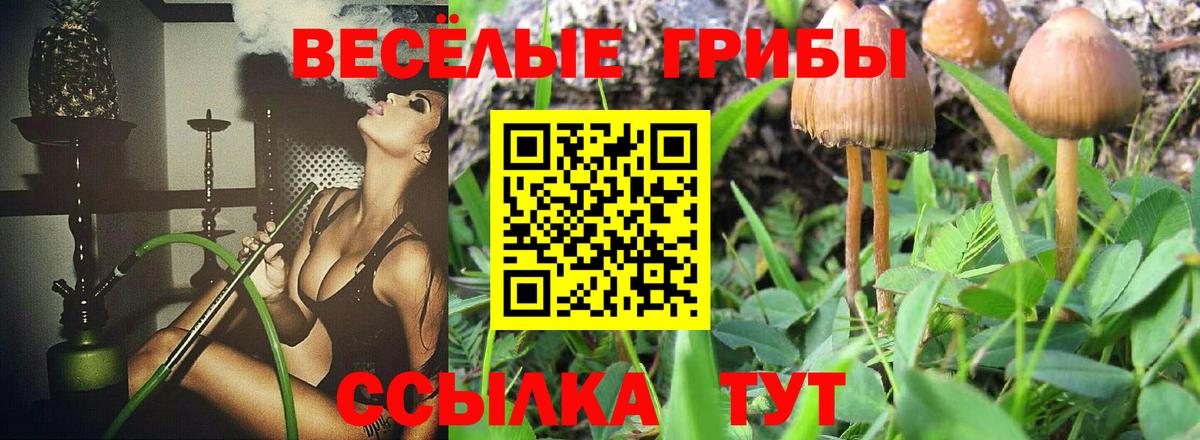 Псилоцибиновые грибы Psilocybine cubensis  Вход с VPN  Советский 